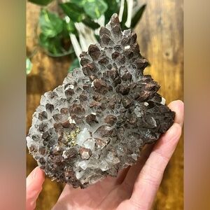 Hematite Quartz with Pyrite